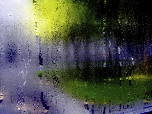 Window Condensation